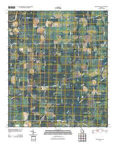 Branchville Georgia Historical topographic map, 1:24000 scale, 7.5 X 7.5 Minute, Year 2011