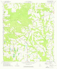 Bridgeboro Georgia Historical topographic map, 1:24000 scale, 7.5 X 7.5 Minute, Year 1974