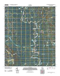 Brier Creek Landing Georgia Historical topographic map, 1:24000 scale, 7.5 X 7.5 Minute, Year 2011
