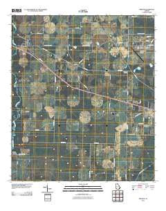 Brinson Georgia Historical topographic map, 1:24000 scale, 7.5 X 7.5 Minute, Year 2011