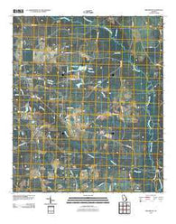 Bronwood Georgia Historical topographic map, 1:24000 scale, 7.5 X 7.5 Minute, Year 2011