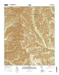 Brooklyn Georgia Current topographic map, 1:24000 scale, 7.5 X 7.5 Minute, Year 2014