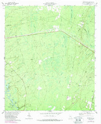 Browntown Georgia Historical topographic map, 1:24000 scale, 7.5 X 7.5 Minute, Year 1978