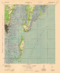 Brunswick Georgia Historical topographic map, 1:62500 scale, 15 X 15 Minute, Year 1945