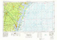 Brunswick Georgia Historical topographic map, 1:250000 scale, 1 X 2 Degree, Year 1978