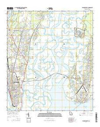 Brunswick East Georgia Current topographic map, 1:24000 scale, 7.5 X 7.5 Minute, Year 2014