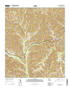 Buena Vista Georgia Current topographic map, 1:24000 scale, 7.5 X 7.5 Minute, Year 2014