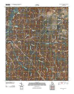 Buena Vista NW Georgia Historical topographic map, 1:24000 scale, 7.5 X 7.5 Minute, Year 2011