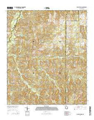 Buena Vista NW Georgia Current topographic map, 1:24000 scale, 7.5 X 7.5 Minute, Year 2014