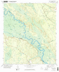 Bug Island Georgia Historical topographic map, 1:24000 scale, 7.5 X 7.5 Minute, Year 1978