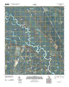 Bug Island Georgia Historical topographic map, 1:24000 scale, 7.5 X 7.5 Minute, Year 2011
