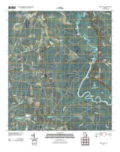 Burnt Fort Georgia Historical topographic map, 1:24000 scale, 7.5 X 7.5 Minute, Year 2011