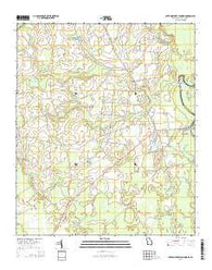 Burtons Ferry Landing Georgia Current topographic map, 1:24000 scale, 7.5 X 7.5 Minute, Year 2014