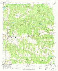 Butler East Georgia Historical topographic map, 1:24000 scale, 7.5 X 7.5 Minute, Year 1971