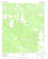 Butler West Georgia Historical topographic map, 1:24000 scale, 7.5 X 7.5 Minute, Year 1971