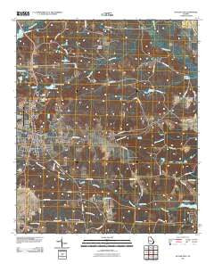 Butler East Georgia Historical topographic map, 1:24000 scale, 7.5 X 7.5 Minute, Year 2011