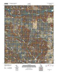 Butler West Georgia Historical topographic map, 1:24000 scale, 7.5 X 7.5 Minute, Year 2011
