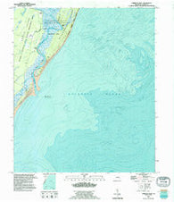 Cabretta Inlet Georgia Historical topographic map, 1:24000 scale, 7.5 X 7.5 Minute, Year 1993