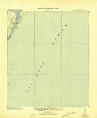 Cabretta Island Georgia Historical topographic map, 1:62500 scale, 15 X 15 Minute, Year 1920