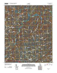 Cadley Georgia Historical topographic map, 1:24000 scale, 7.5 X 7.5 Minute, Year 2011