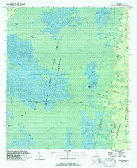 Chase Prairie Georgia Historical topographic map, 1:24000 scale, 7.5 X 7.5 Minute, Year 1994