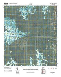 Chase Prairie Georgia Historical topographic map, 1:24000 scale, 7.5 X 7.5 Minute, Year 2011