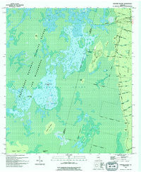 Chesser Island Georgia Historical topographic map, 1:24000 scale, 7.5 X 7.5 Minute, Year 1994