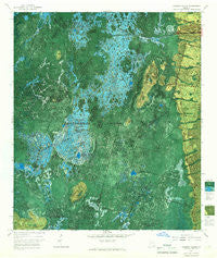 Chesser Island Georgia Historical topographic map, 1:24000 scale, 7.5 X 7.5 Minute, Year 1965