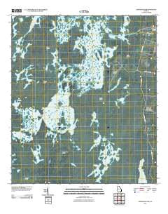 Chesser Island Georgia Historical topographic map, 1:24000 scale, 7.5 X 7.5 Minute, Year 2011