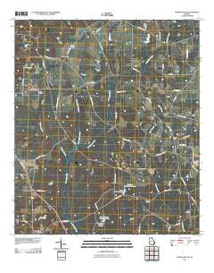 Climax South Georgia Historical topographic map, 1:24000 scale, 7.5 X 7.5 Minute, Year 2011