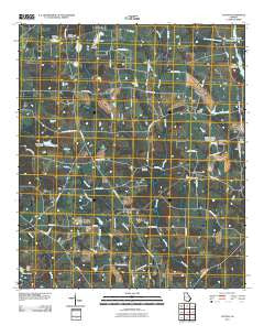 Cotton Georgia Historical topographic map, 1:24000 scale, 7.5 X 7.5 Minute, Year 2011