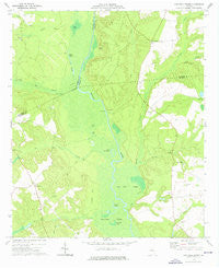 Cow Hell Swamp Georgia Historical topographic map, 1:24000 scale, 7.5 X 7.5 Minute, Year 1974