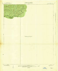 Cowrock Georgia Historical topographic map, 1:24000 scale, 7.5 X 7.5 Minute, Year 1938