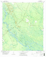 Cox Georgia Historical topographic map, 1:24000 scale, 7.5 X 7.5 Minute, Year 1978