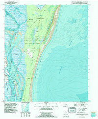 Cumberland Island South Georgia Historical topographic map, 1:24000 scale, 7.5 X 7.5 Minute, Year 1994