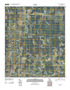 Damascus Georgia Historical topographic map, 1:24000 scale, 7.5 X 7.5 Minute, Year 2011