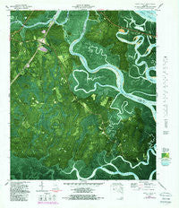 Dover Bluff Georgia Historical topographic map, 1:24000 scale, 7.5 X 7.5 Minute, Year 1979