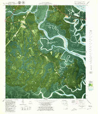 Dover Bluff Georgia Historical topographic map, 1:24000 scale, 7.5 X 7.5 Minute, Year 1979