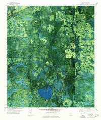 Du Pont Georgia Historical topographic map, 1:24000 scale, 7.5 X 7.5 Minute, Year 1971