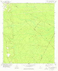 East Of Ludowici Georgia Historical topographic map, 1:24000 scale, 7.5 X 7.5 Minute, Year 1978