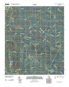 East of Ludowici Georgia Historical topographic map, 1:24000 scale, 7.5 X 7.5 Minute, Year 2011