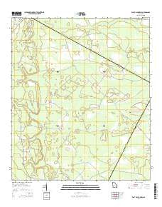 East of Ludowici Georgia Current topographic map, 1:24000 scale, 7.5 X 7.5 Minute, Year 2014