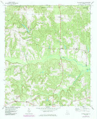 Ellaville North Georgia Historical topographic map, 1:24000 scale, 7.5 X 7.5 Minute, Year 1971