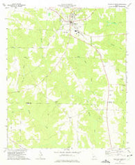 Ellaville South Georgia Historical topographic map, 1:24000 scale, 7.5 X 7.5 Minute, Year 1972