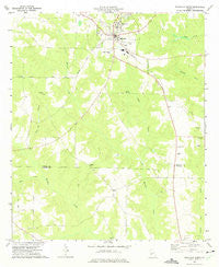 Ellaville South Georgia Historical topographic map, 1:24000 scale, 7.5 X 7.5 Minute, Year 1972