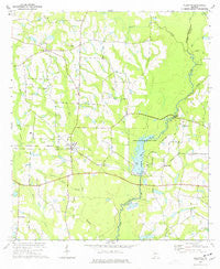 Ellenton Georgia Historical topographic map, 1:24000 scale, 7.5 X 7.5 Minute, Year 1974
