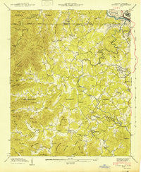 Epworth Georgia Historical topographic map, 1:24000 scale, 7.5 X 7.5 Minute, Year 1942