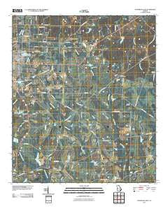 Fitzgerald East Georgia Historical topographic map, 1:24000 scale, 7.5 X 7.5 Minute, Year 2011