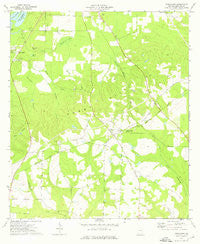 Fowlstown Georgia Historical topographic map, 1:24000 scale, 7.5 X 7.5 Minute, Year 1974