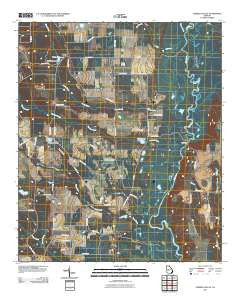 Garden Valley Georgia Historical topographic map, 1:24000 scale, 7.5 X 7.5 Minute, Year 2011